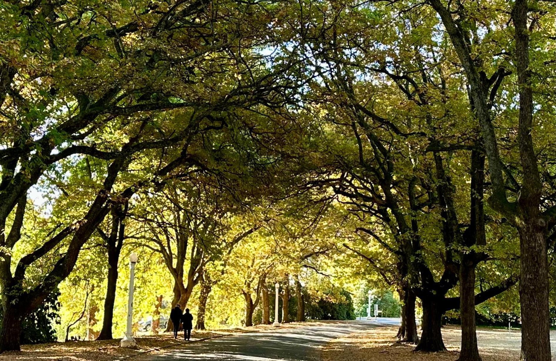 The Grand Oaks Resort Beechworth Zewnętrze zdjęcie
