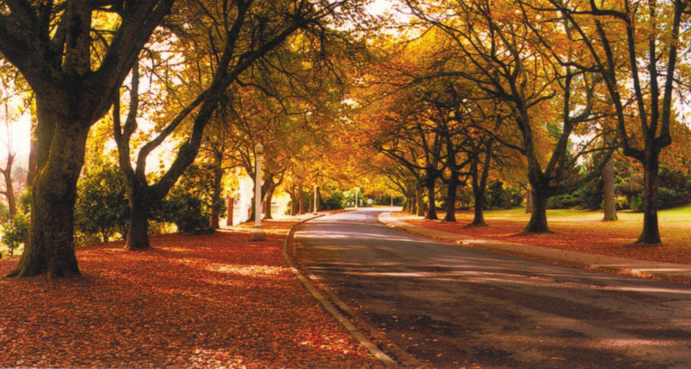 The Grand Oaks Resort Beechworth Zewnętrze zdjęcie